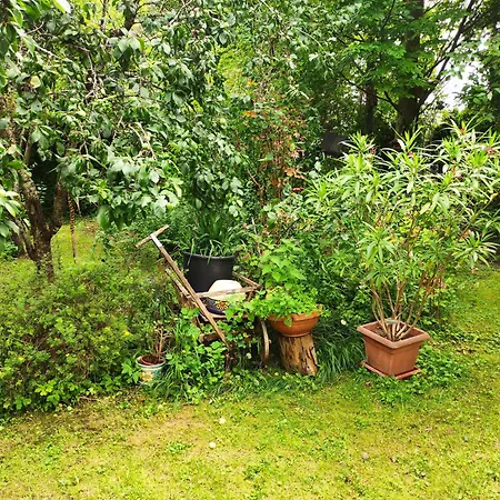 Omas Haeuschen Am
